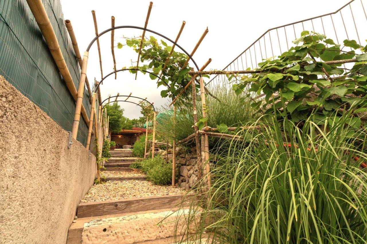 Villa Salvia - Holiday House With Pool - Jurdani エクステリア 写真